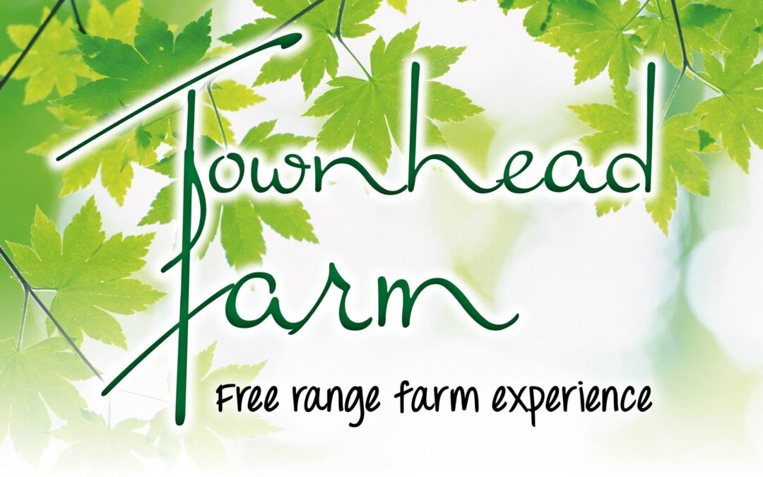 Townhead Farm