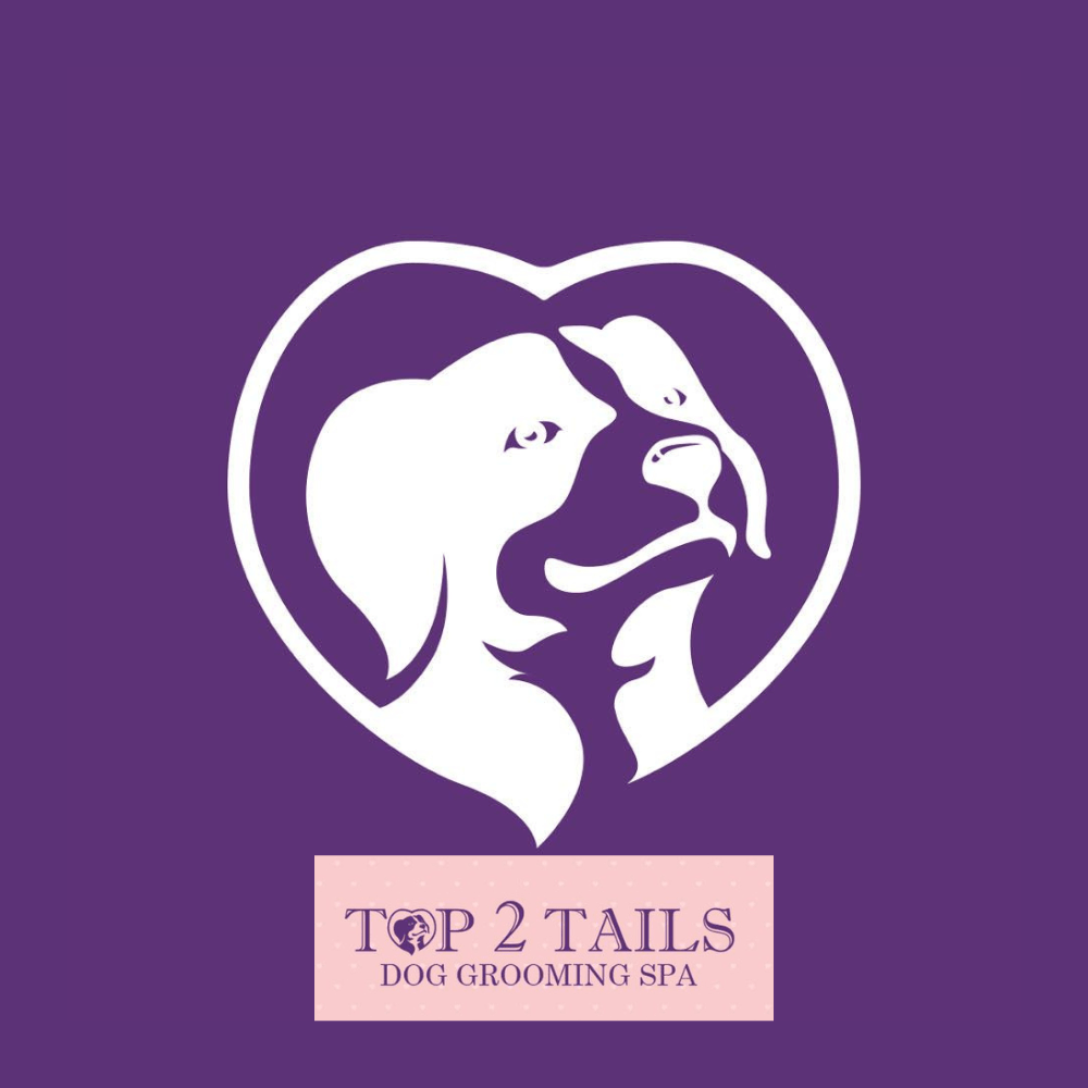 Top2Tails Loch Lomond Festivals