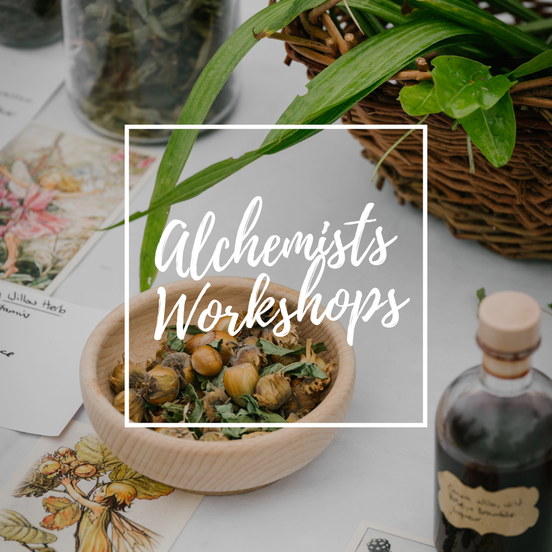The Little Alchemist's Drop-In Workshops